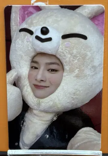 StrayKids MAXIDENT JYP 특전 트레이딩 카드 아이엔