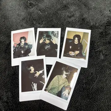 달콤한 폭력 폴라로이드