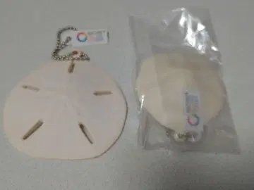 네이처 테크니컬러 성게 투명 오크빵