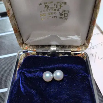 펄 2개