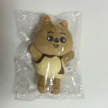 straykids MANIAC ENCORE SKZOO 한 백참