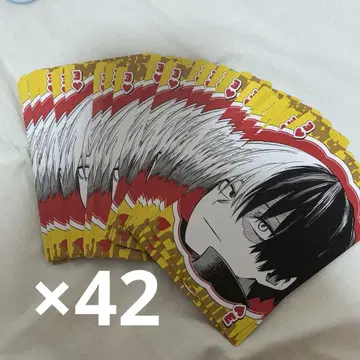 토도로키 쇼토 BIG 카드놀이 42장