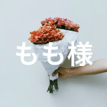 모모님