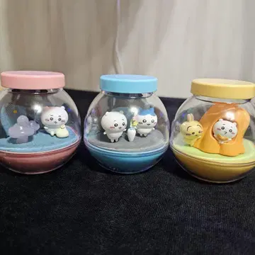 치이카와 카프셀리움 테라리움 3개 세트