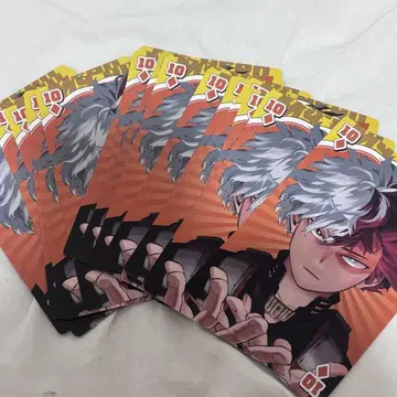 토도로키 쇼토 BIG 카드놀이 20장 세트