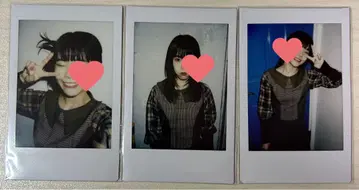 아이나 더 엔드 폴라로이드