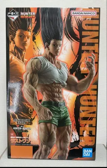 HUNTER x HUNTER 피규어 곤 멜레오름