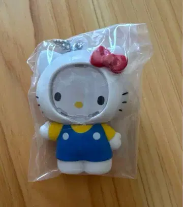 산리오 캐릭터즈 사진 프레임 마스코트 키티