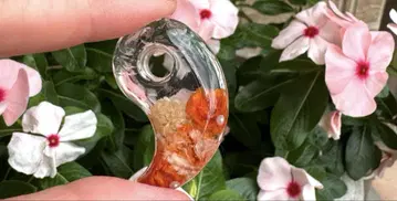 구옥 오르가나이트