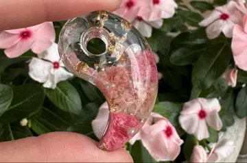 구옥 오르가나이트