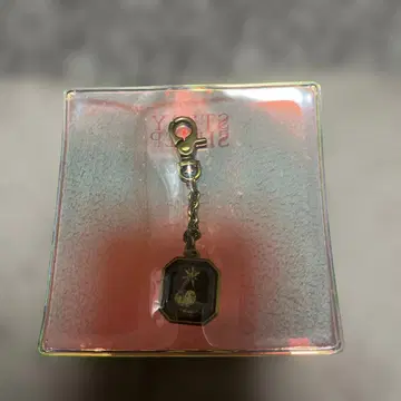 요네즈켄시 스트레이시프 오마모리 키링
