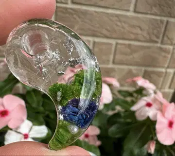 구옥 오르가나이트