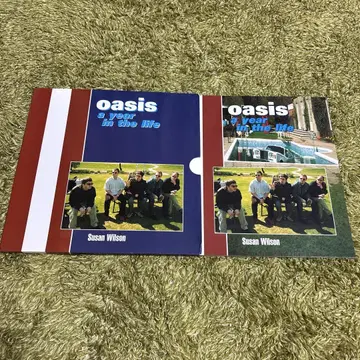 오아시스 일년의 삶