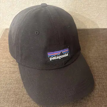 patagonia 캡 모자 블랙