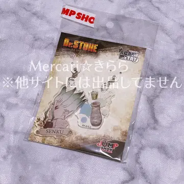 Dr.STONE 센쿠 아크릴메트리