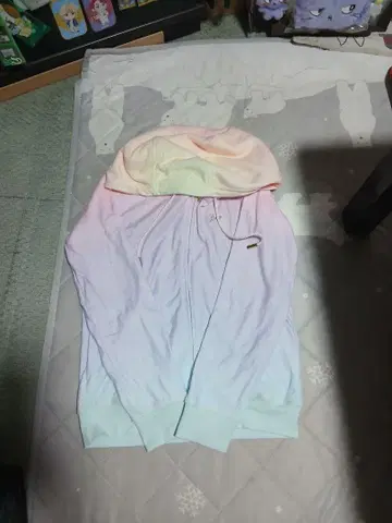 Rady 후드티