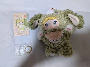 Nommi 강아지 일기 말차 강아지