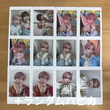 팬더 드래곤 타이거 나기