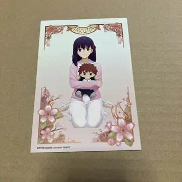 fate 마루이 엽서 벚꽃
