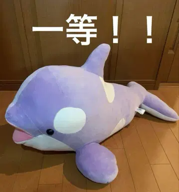 고베 스마 월드 범고래 복권 1등