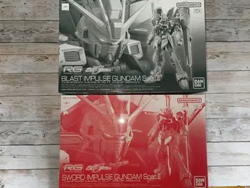 RG 블라스트 임펄스 & 소드 임펄스