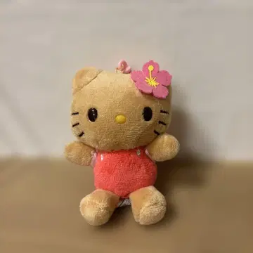다이아몬드 헤드 일광화상 키티 하와이