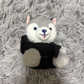 노킹 온 락드 도어 앉은 봉제 인형 (토리이누)