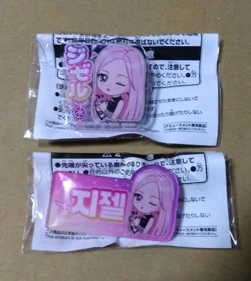 aespa 이름표 아크릴 배지 지젤 에스파 2개 세트