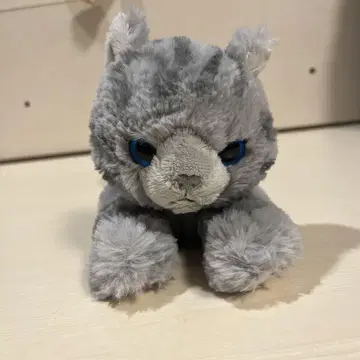 산레몬 무릎 고양이 봉제 인형(s) GY