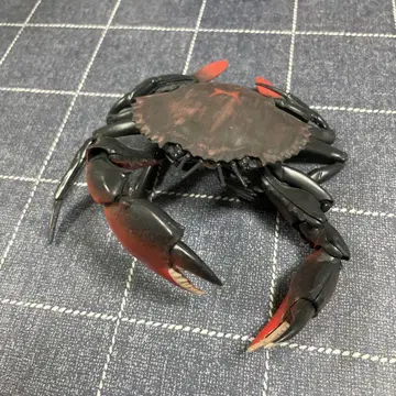 생물대도감 넓적게 피규어