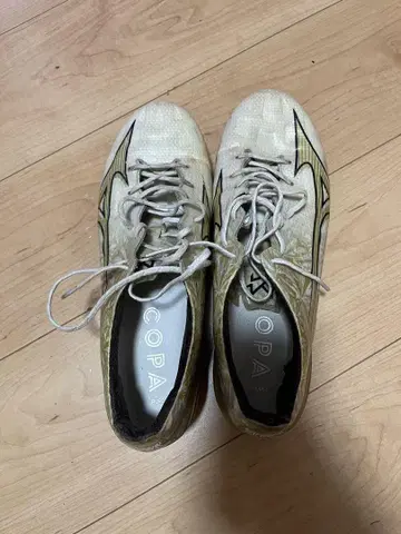 축구화 화이트/골드