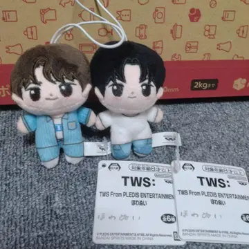 TWS From PLEDIS ENTERTAINMENT 호와누이 2세트