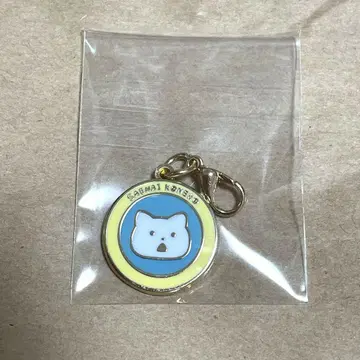 시무룩한 고양이 참