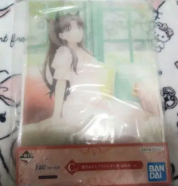 Fate 토오사카 린 아크릴 보드