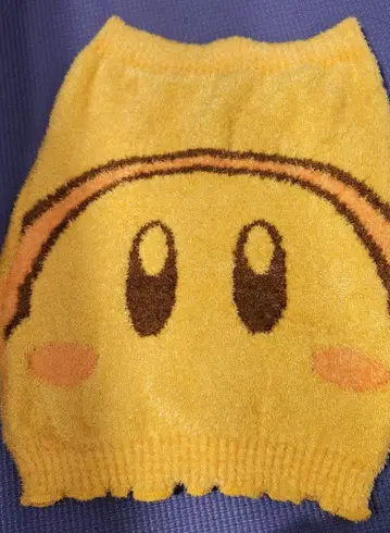 와돌디 복대