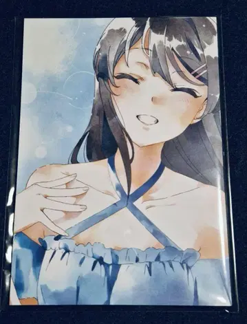 청돼지전 청춘 돼지 바보는 스쿨 메모리의 꿈을 꾸지 않아 팜플렛