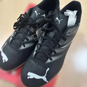 축구 실내 신발