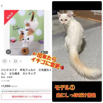 Aki's felt 모델 고양이