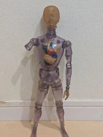 킹 와일더 보라색