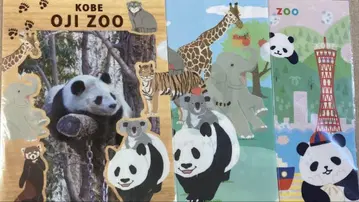 오지 동물원 클리어 파일 산책 탕탕 3매
