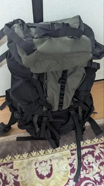 Amazon 베이직 하이킹 백팩 75L