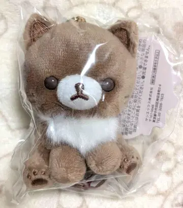 리락쿠마 스토어 코코아 캣 봉제 인형