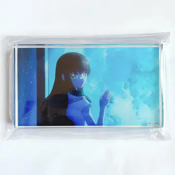 fgo 키시나미 하쿠노 아크릴 블록 fgofes