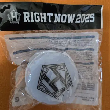 RIGHT NOW 2025 응원봉