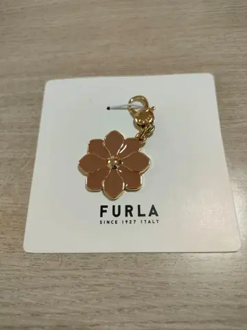 훌라 참