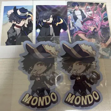 CR Mondo 폴라로이드 컬렉션 카드