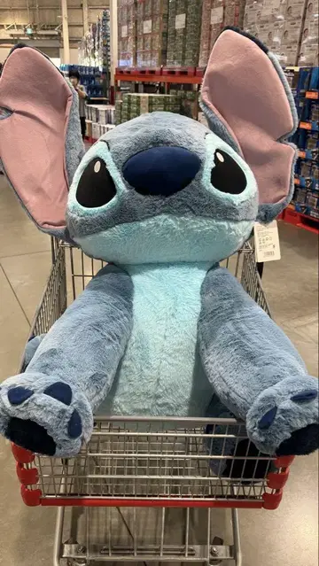 디즈니 스티치 특대형 봉제 인형 BIG 사이즈 코스트코 COSTCO