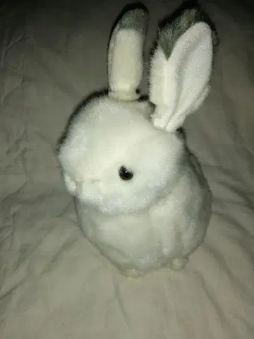 토끼 봉제 인형 오르골 포함 토끼
