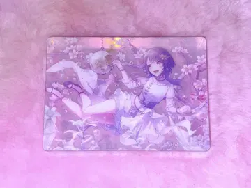 프로세카 노블 아트 vol.62 시로이시 안