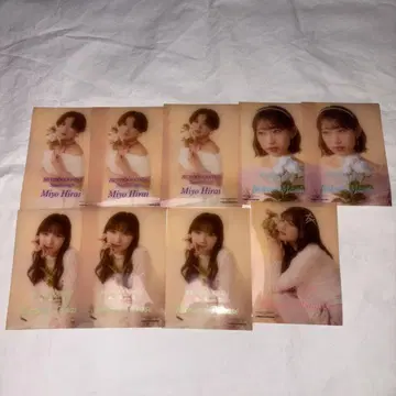 BEYOOOOONDS 할로쇼 클리어 스티커